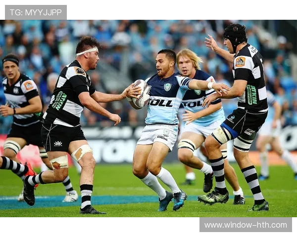 布雷斯特俱乐部最新动态与历史发展全景解析